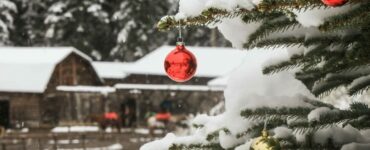 Christmas ornaments on tree in front of barn