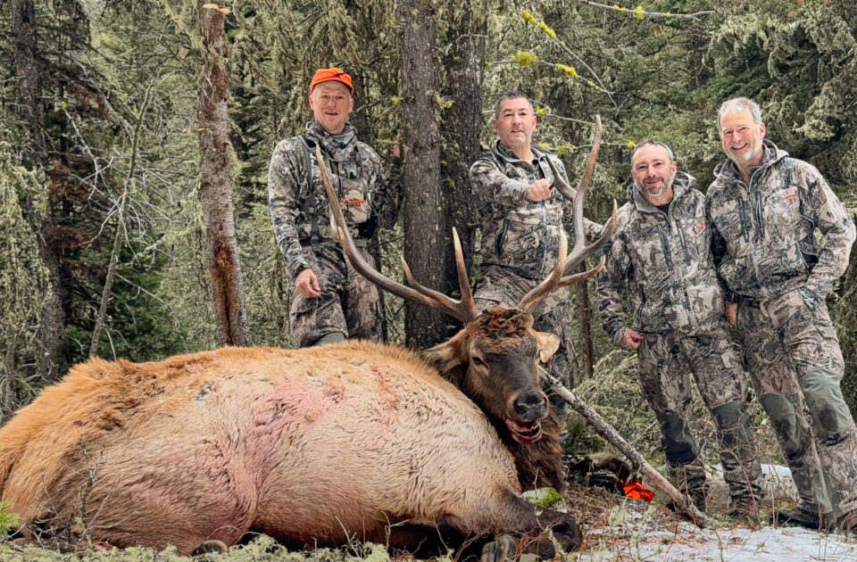 Upper Canyon Outfitters - elk hunt