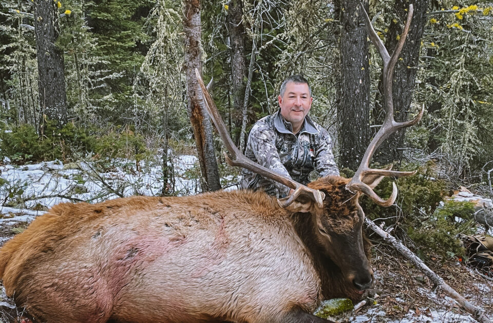 Upper Canyon Outfitters - bull elk
