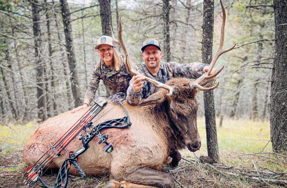 Upper Canyon Outfitters - bull elk - archery