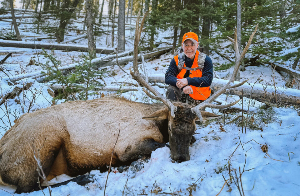 Hunting - Upper Canyon Outfitters - bull elk