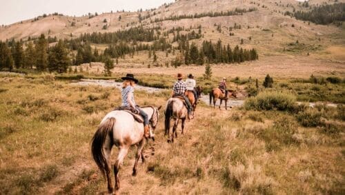 Four people ride horses along a grassy meadow with rolling hills and pine trees in the background.