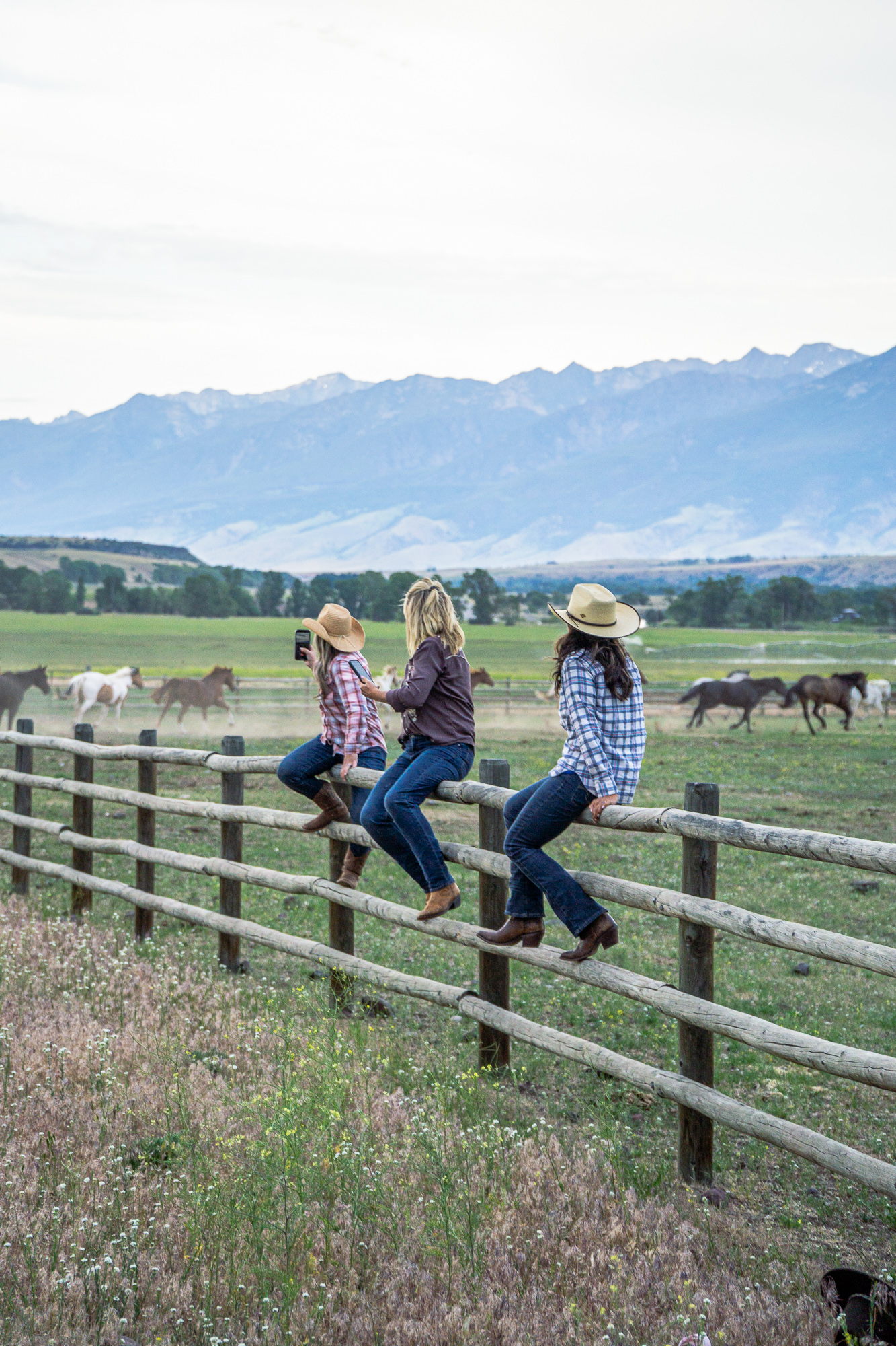 Ranch Image For Mountain Sky Guest Ranch