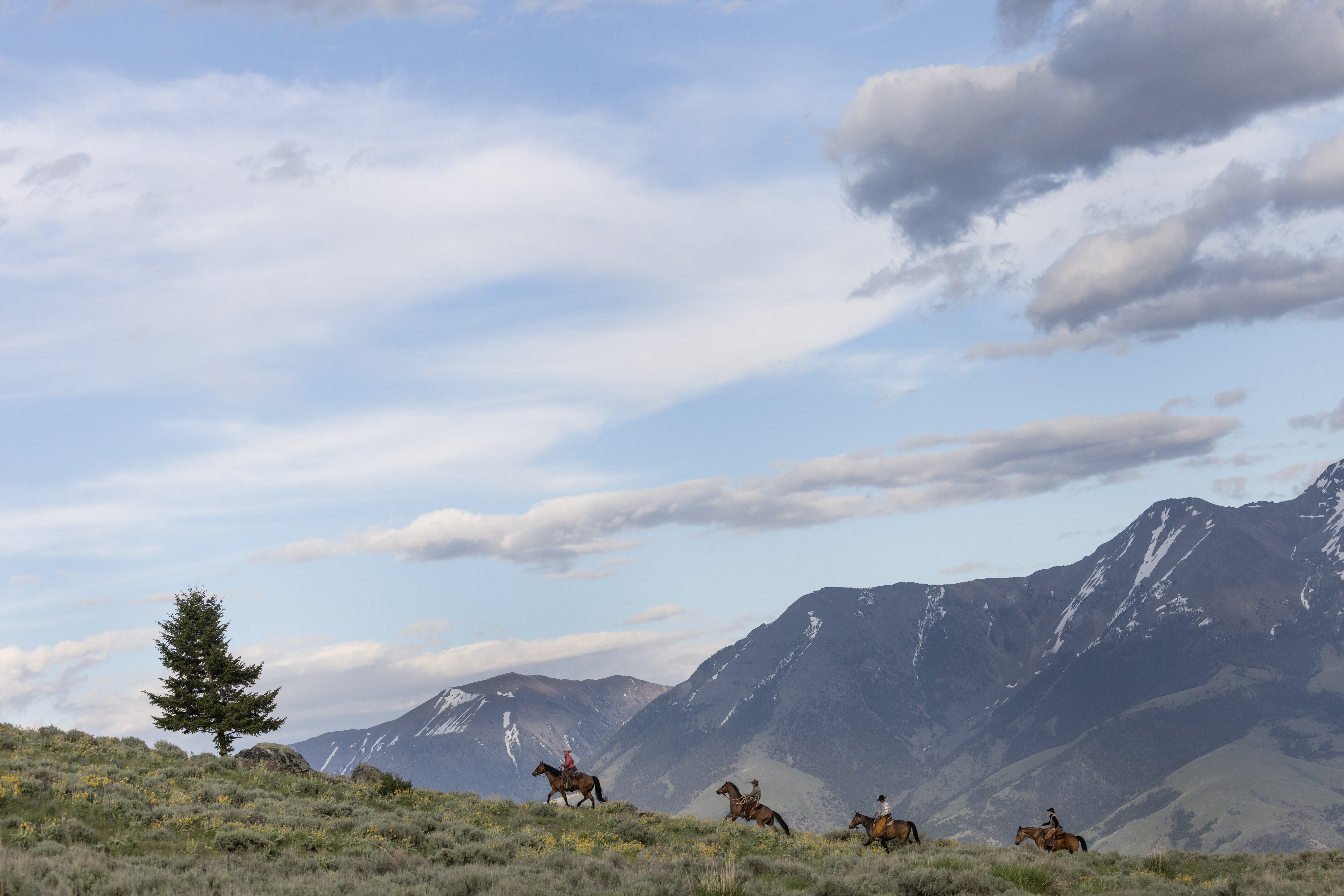 Ranch Image For Mountain Sky Guest Ranch