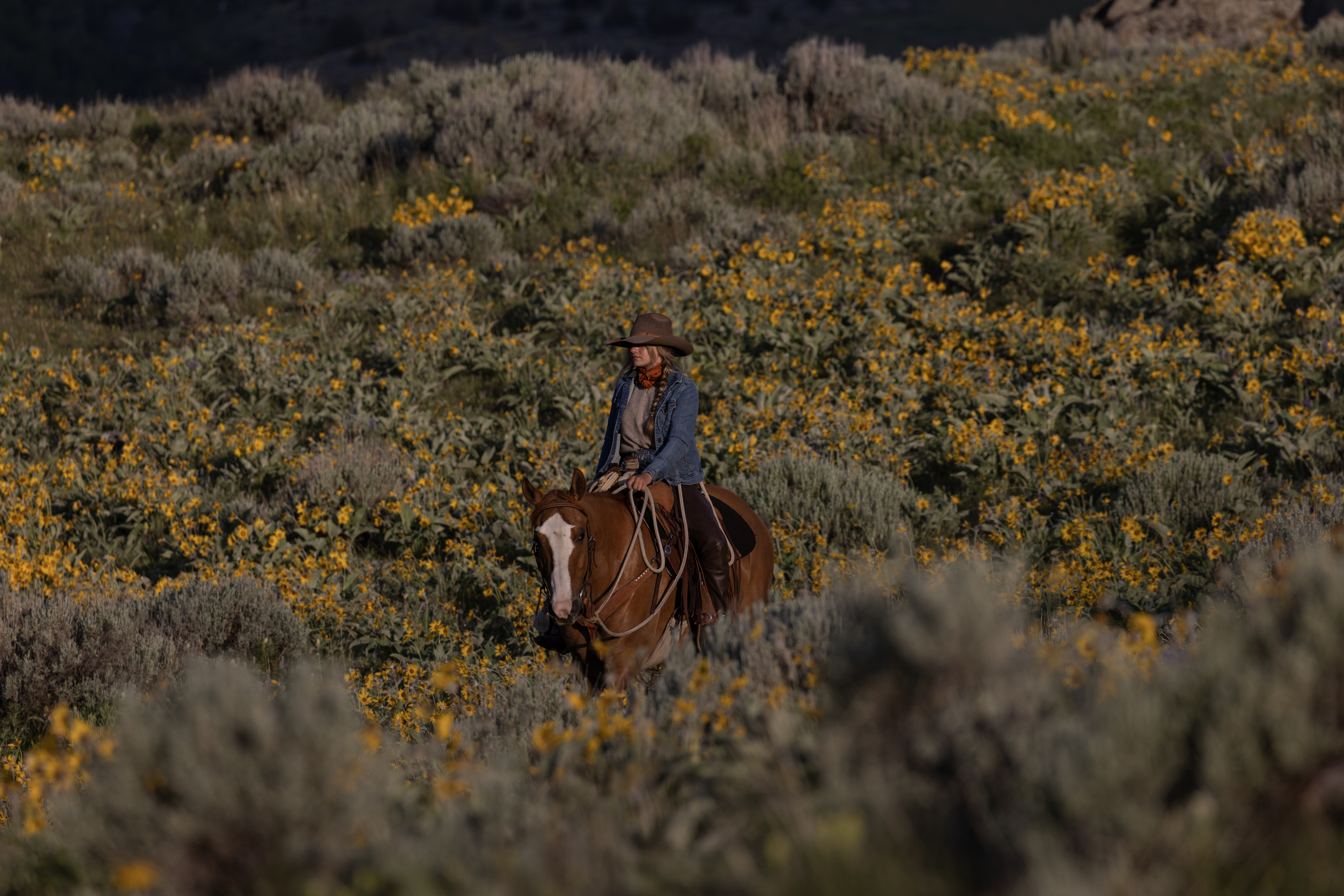 Ranch Image For Mountain Sky Guest Ranch